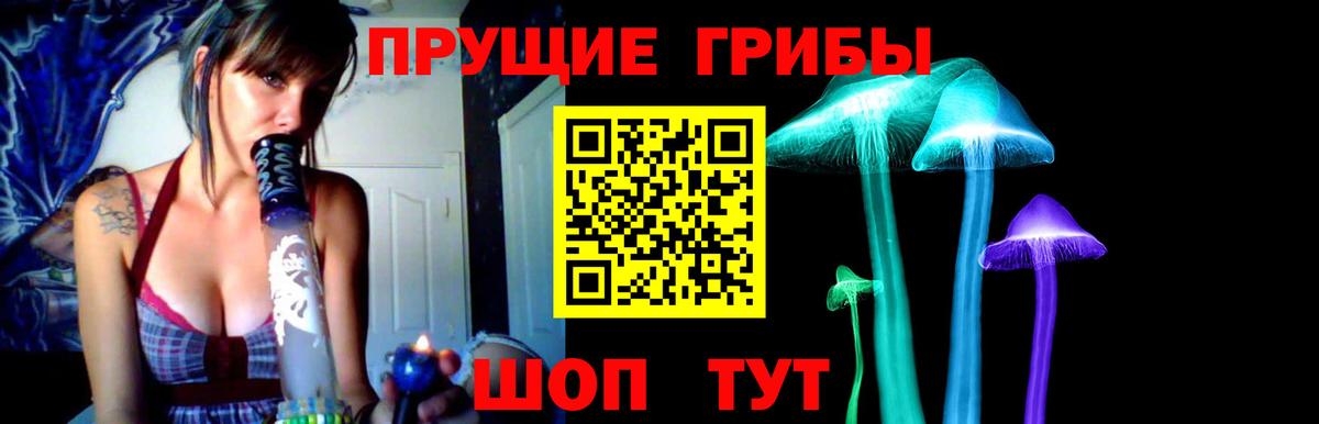 Галлюциногенные грибы Cubensis  Вход с VPN  Галлюциногенные грибы MAGIC MUSHROOMS  Благодарный 